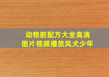 动物胶配方大全高清图片视频播放风犬少年