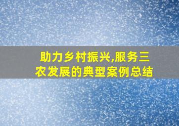 助力乡村振兴,服务三农发展的典型案例总结