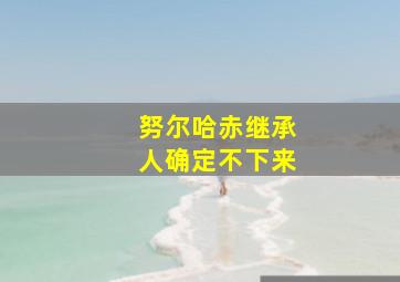 努尔哈赤继承人确定不下来