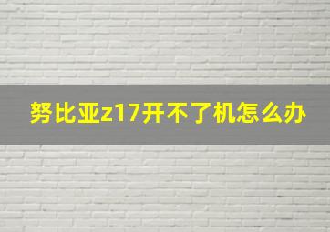 努比亚z17开不了机怎么办