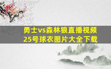 勇士vs森林狼直播视频25号球衣图片大全下载