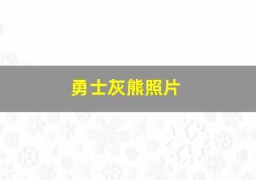 勇士灰熊照片