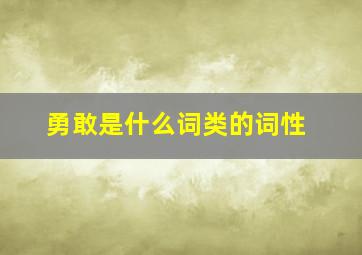 勇敢是什么词类的词性