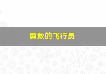 勇敢的飞行员