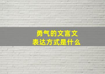 勇气的文言文表达方式是什么