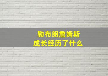 勒布朗詹姆斯成长经历了什么