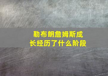 勒布朗詹姆斯成长经历了什么阶段