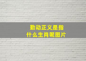 勤动正义是指什么生肖呢图片