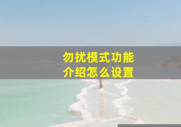 勿扰模式功能介绍怎么设置