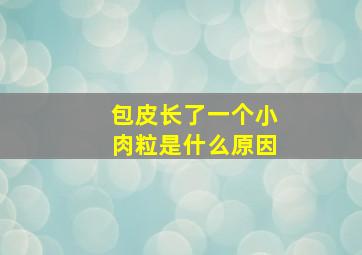 包皮长了一个小肉粒是什么原因