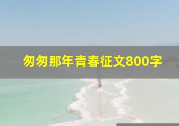 匆匆那年青春征文800字