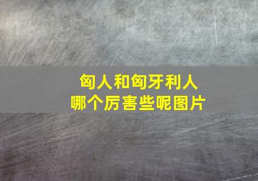 匈人和匈牙利人哪个厉害些呢图片