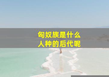 匈奴族是什么人种的后代呢