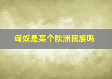 匈奴是某个欧洲民族吗