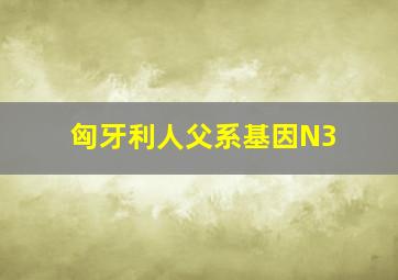 匈牙利人父系基因N3