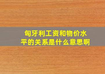 匈牙利工资和物价水平的关系是什么意思啊