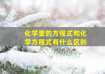 化学里的方程式和化学方程式有什么区别