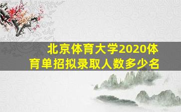 北京体育大学2020体育单招拟录取人数多少名