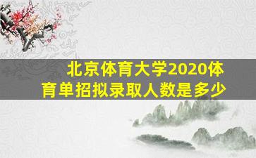 北京体育大学2020体育单招拟录取人数是多少