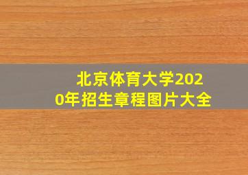 北京体育大学2020年招生章程图片大全