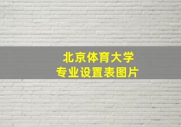 北京体育大学专业设置表图片