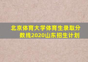 北京体育大学体育生录取分数线2020山东招生计划