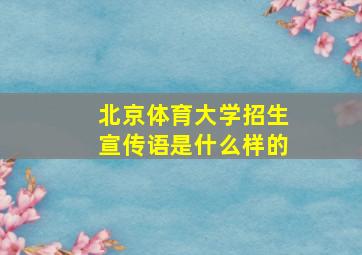 北京体育大学招生宣传语是什么样的