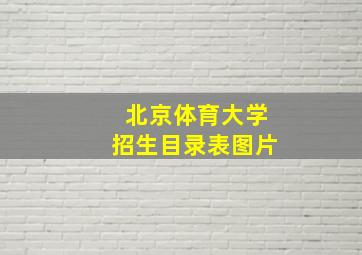 北京体育大学招生目录表图片