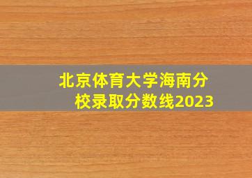 北京体育大学海南分校录取分数线2023