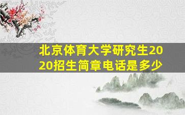 北京体育大学研究生2020招生简章电话是多少