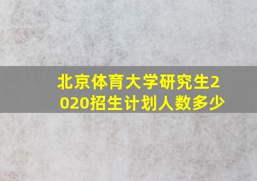 北京体育大学研究生2020招生计划人数多少