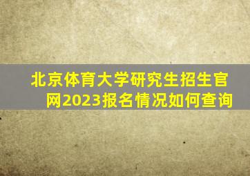 北京体育大学研究生招生官网2023报名情况如何查询