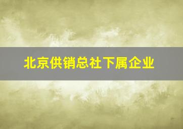 北京供销总社下属企业