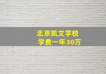 北京凯文学校学费一年30万