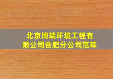 北京博瑞环境工程有限公司合肥分公司范琛