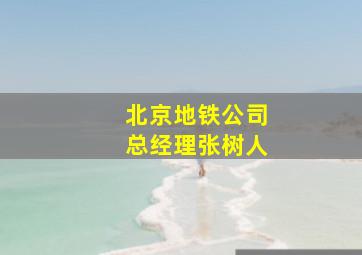 北京地铁公司总经理张树人