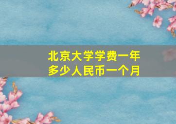 北京大学学费一年多少人民币一个月