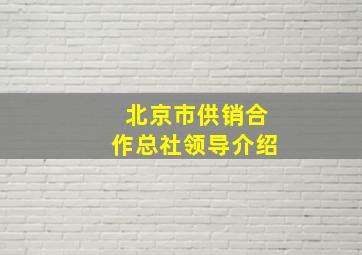 北京市供销合作总社领导介绍