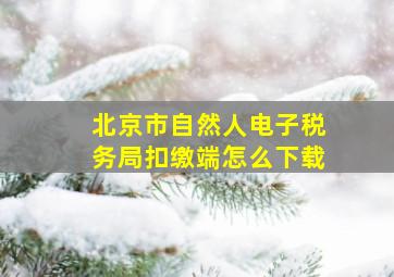 北京市自然人电子税务局扣缴端怎么下载