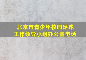 北京市青少年校园足球工作领导小组办公室电话