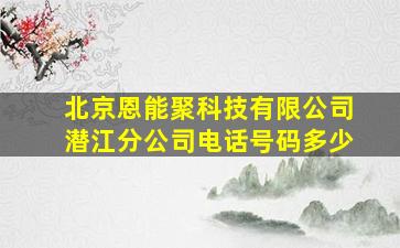 北京恩能聚科技有限公司潜江分公司电话号码多少