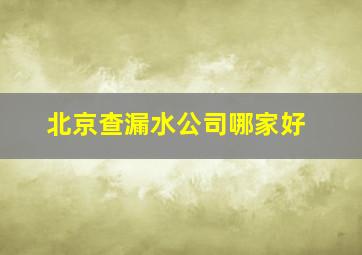 北京查漏水公司哪家好