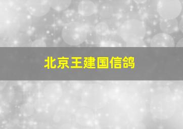 北京王建国信鸽