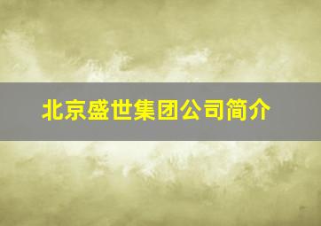 北京盛世集团公司简介