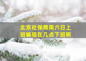 北京社保局周六日上班嘛现在几点下班啊