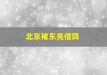 北京褚东亮信鸽