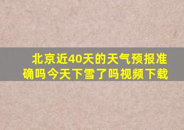 北京近40天的天气预报准确吗今天下雪了吗视频下载