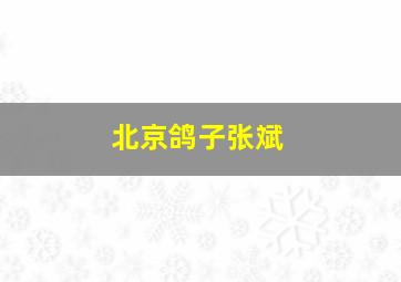 北京鸽子张斌