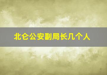 北仑公安副局长几个人