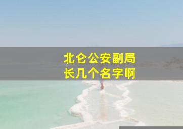 北仑公安副局长几个名字啊